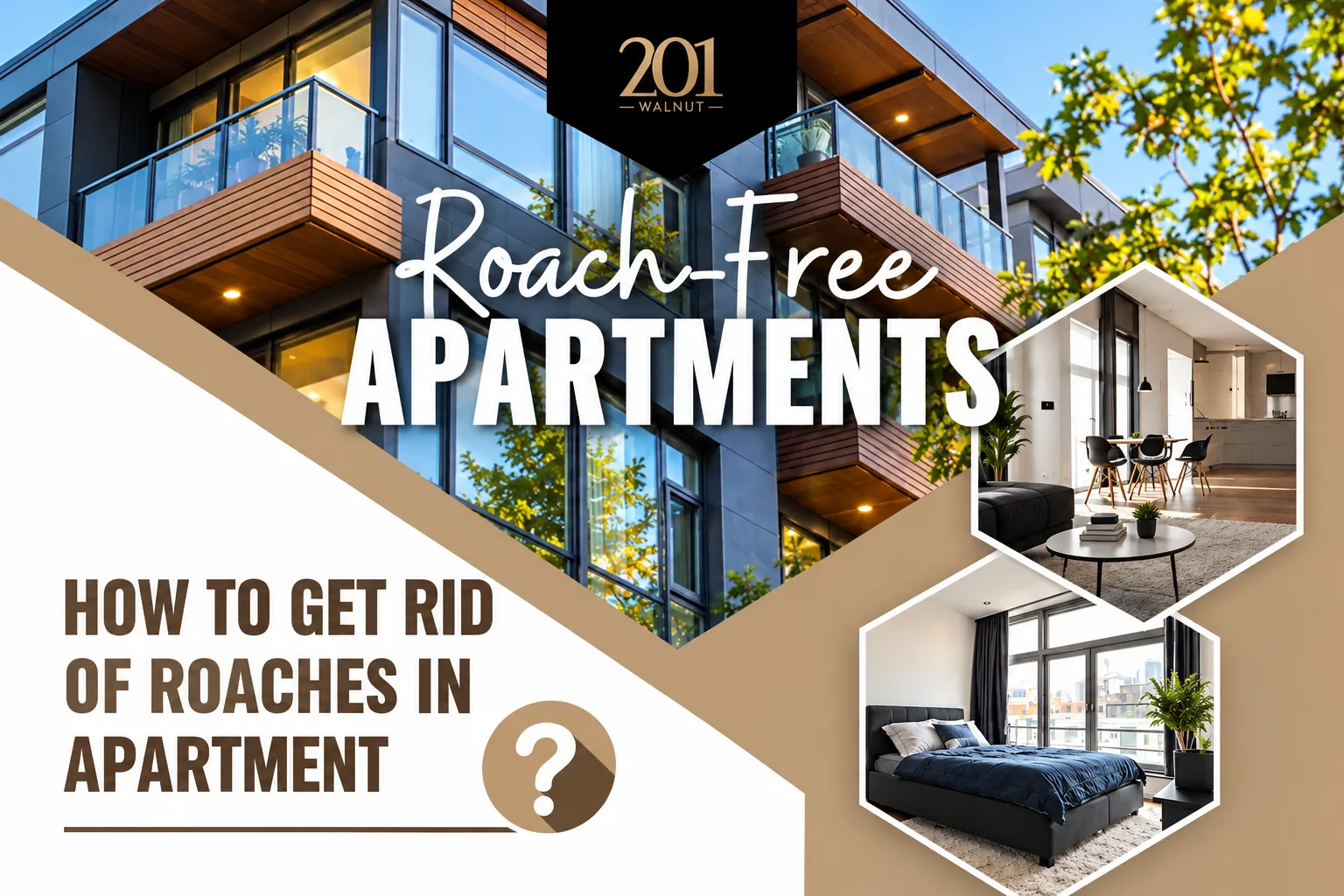 Roach-Free Apartments — graphic designed by Sundas Waqar