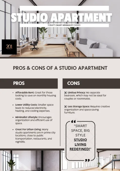 Studio Apartment — Pros & Cons — graphic designed by Sundas Waqar