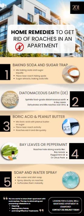 Home Remedies to Get Rid of Roaches in an Apartment — graphic designed by Sundas Waqar