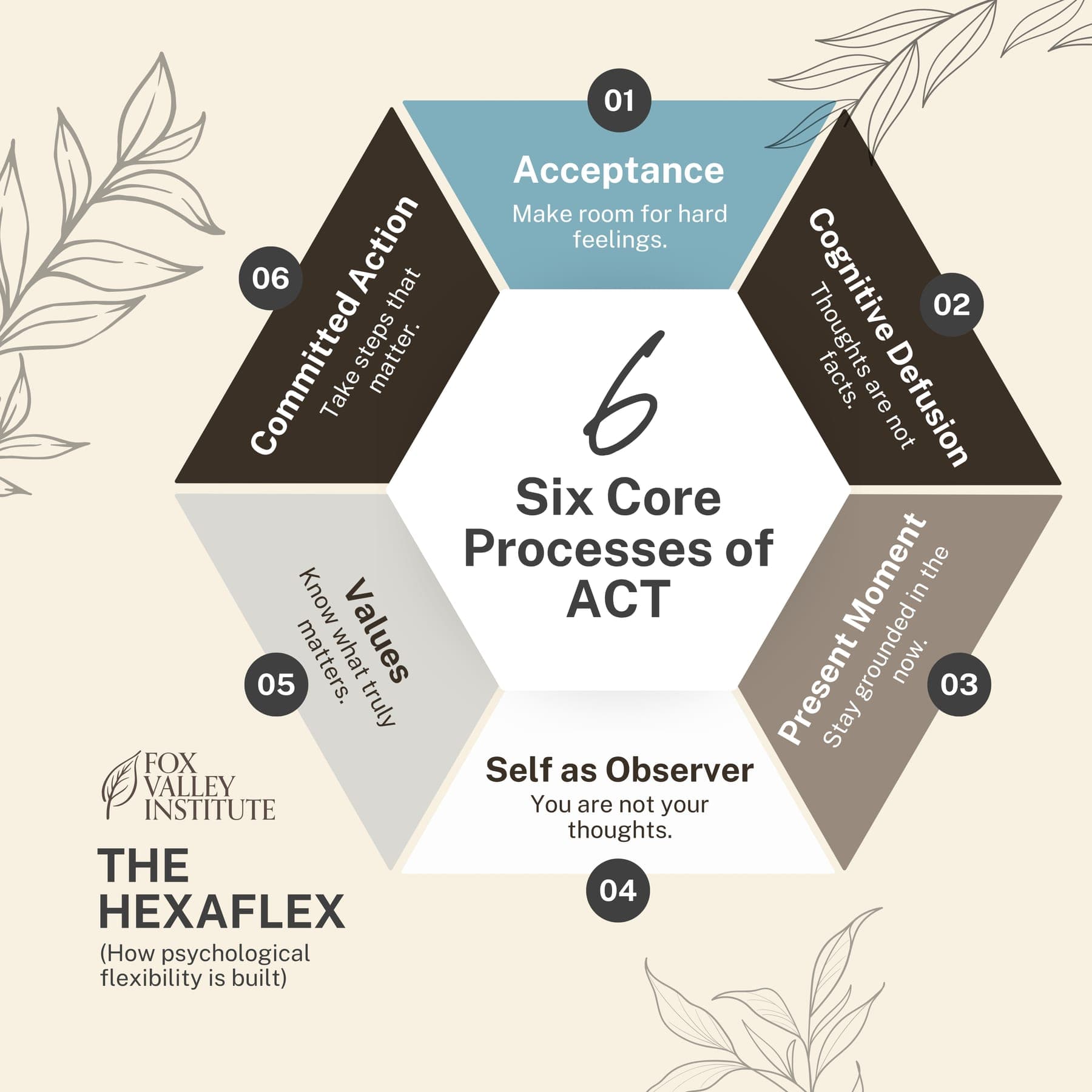 Hexagon diagram 'The Hexaflex: Six Core Processes of ACT' with six numbered segments from Acceptance to Committed Action